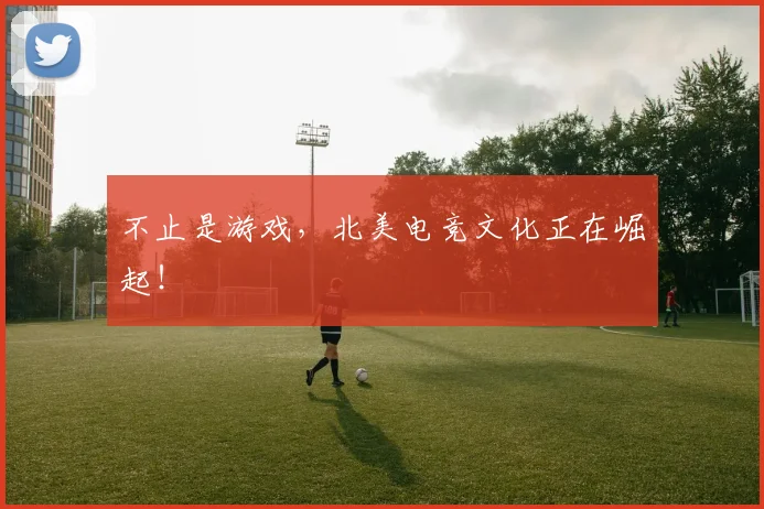 不止是游戏,北美电竞文化正在崛起!